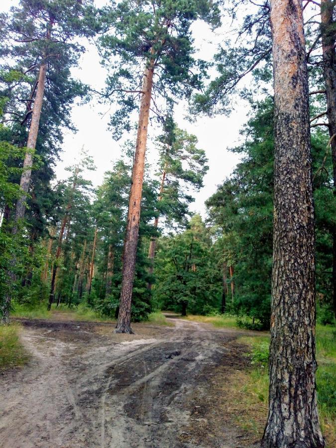 Guest House Kiev Forest Bagian luar foto